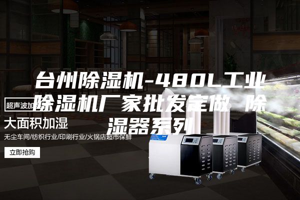 台州除湿机-480L工业除湿机厂家批发定做 除湿器系列