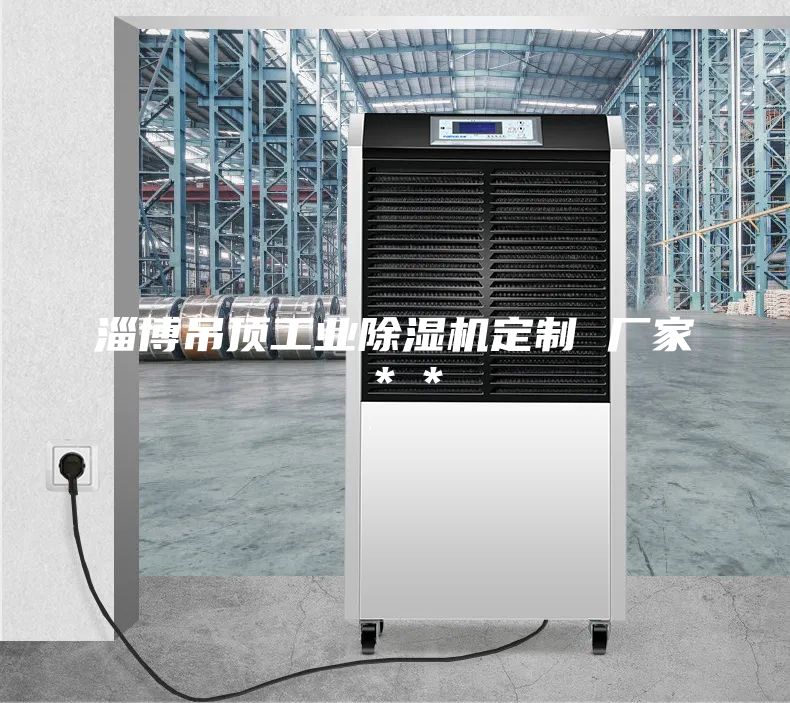 淄博吊顶工业除湿机定制 厂家＊＊