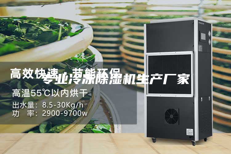专业冷冻除湿机生产厂家