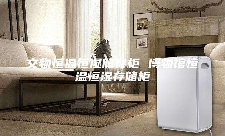 文物恒温恒湿储存柜 博物馆恒温恒湿存储柜
