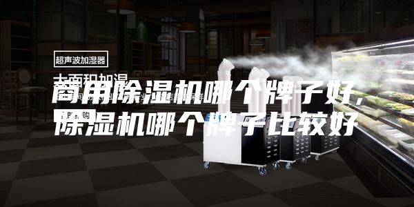 商用除湿机哪个牌子好,除湿机哪个牌子比较好