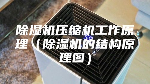 除湿机压缩机工作原理（除湿机的结构原理图）