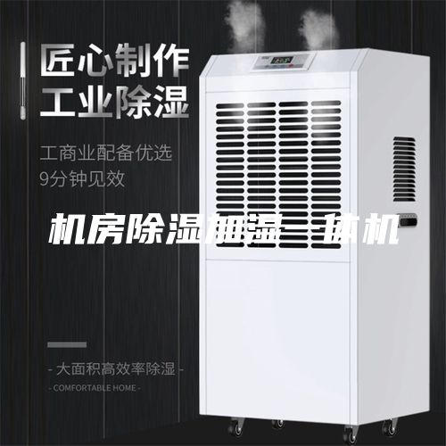 机房除湿加湿一体机