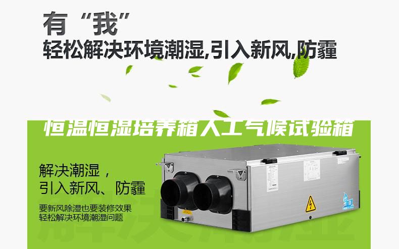 恒温恒湿培养箱人工气候试验箱