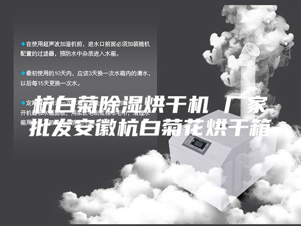 杭白菊除湿烘干机 厂家批发安徽杭白菊花烘干箱
