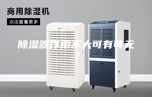 除湿器作用不大可有可无？