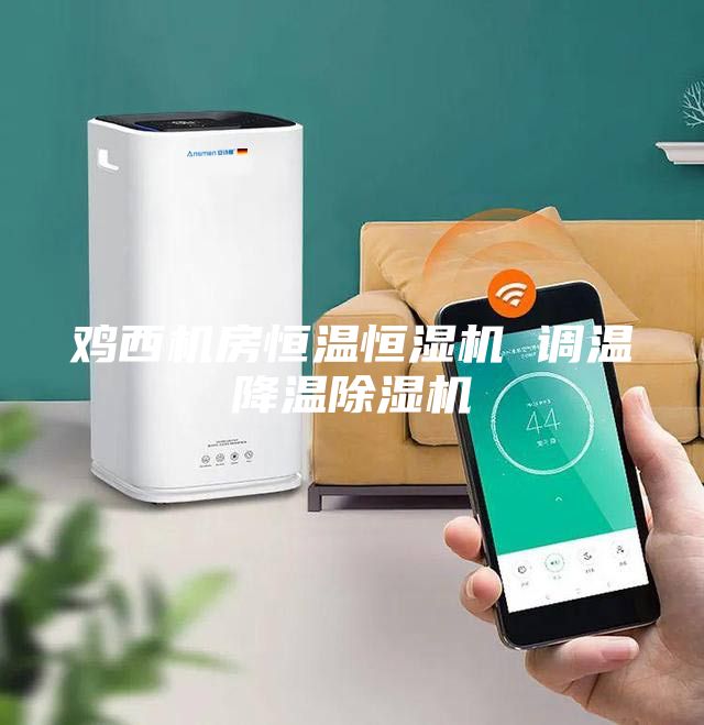 鸡西机房恒温恒湿机 调温降温除湿机
