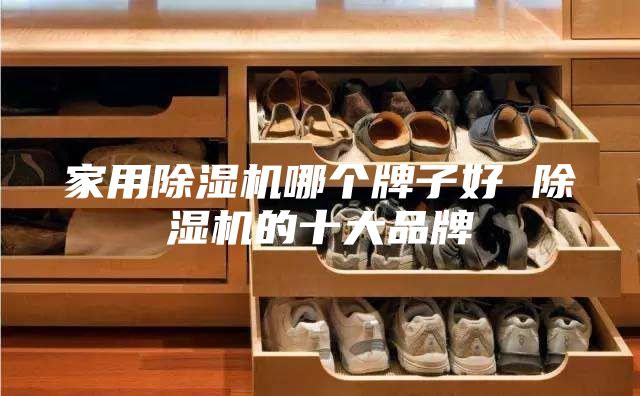 家用除湿机哪个牌子好 除湿机的十大品牌