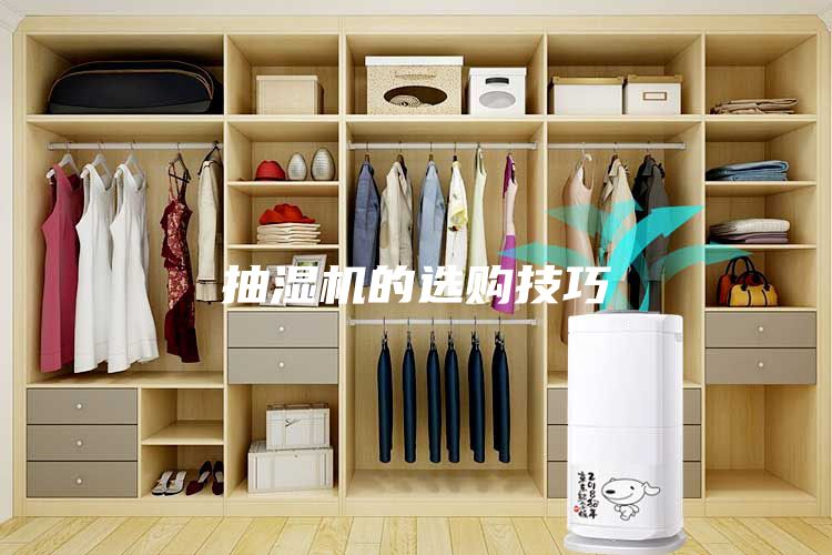 抽湿机的选购技巧