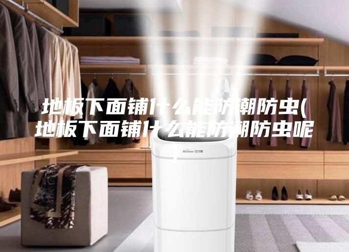 地板下面铺什么能防潮防虫(地板下面铺什么能防潮防虫呢)