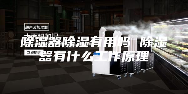 除湿器除湿有用吗 除湿器有什么工作原理