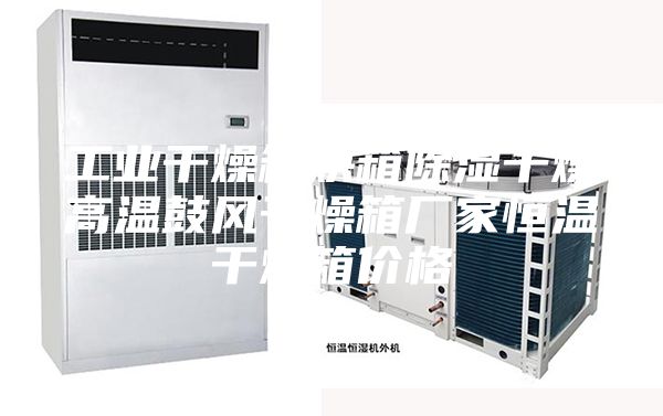 工业干燥箱烘箱除湿干燥高温鼓风干燥箱厂家恒温干燥箱价格