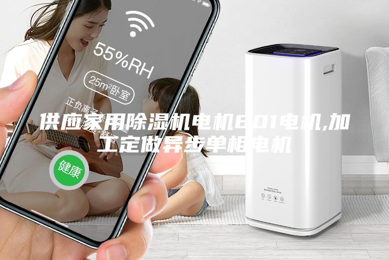 供应家用除湿机电机801电机,加工定做异步单相电机