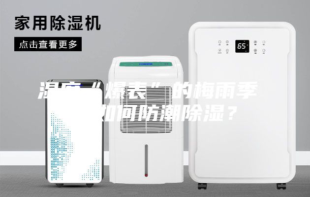 湿度“爆表”的梅雨季 该如何防潮除湿？
