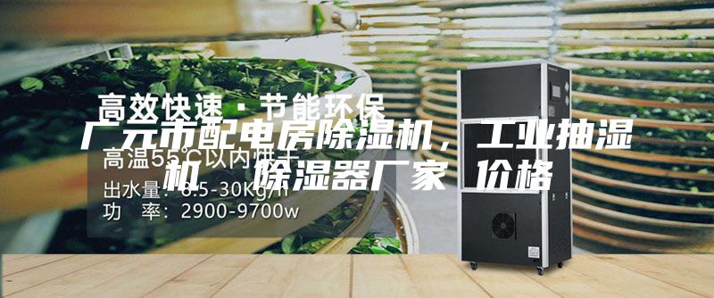 广元市配电房除湿机，工业抽湿机  除湿器厂家 价格