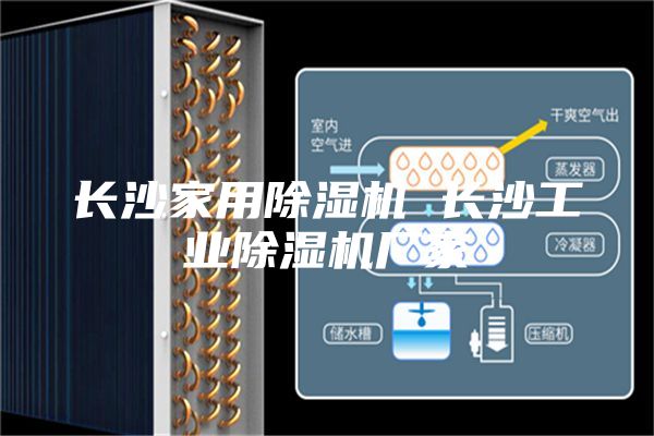 长沙家用除湿机 长沙工业除湿机厂家