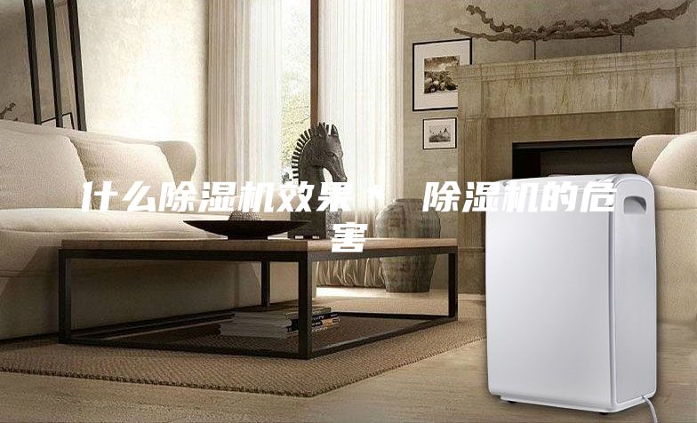 什么除湿机效果＊ 除湿机的危害