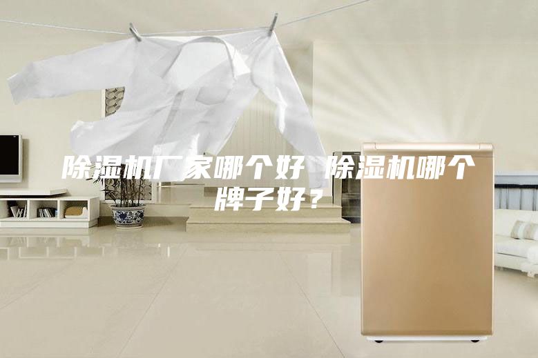 除湿机厂家哪个好 除湿机哪个牌子好？