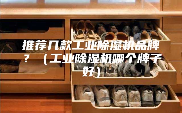 推荐几款工业除湿机品牌？（工业除湿机哪个牌子好）
