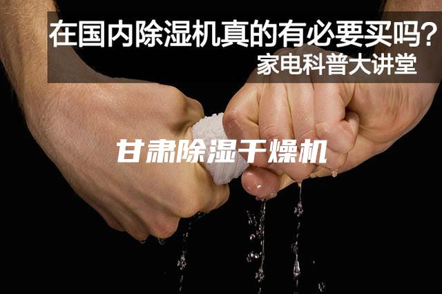 甘肃除湿干燥机