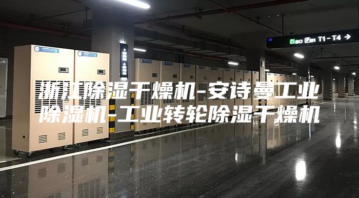 浙江除湿干燥机-安诗曼工业除湿机-工业转轮除湿干燥机
