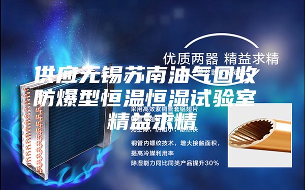 供应无锡苏南油气回收 防爆型恒温恒湿试验室 精益求精