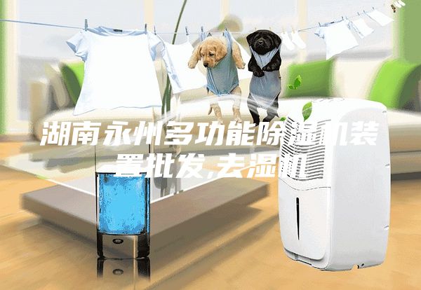 湖南永州多功能除湿机装置批发,去湿机