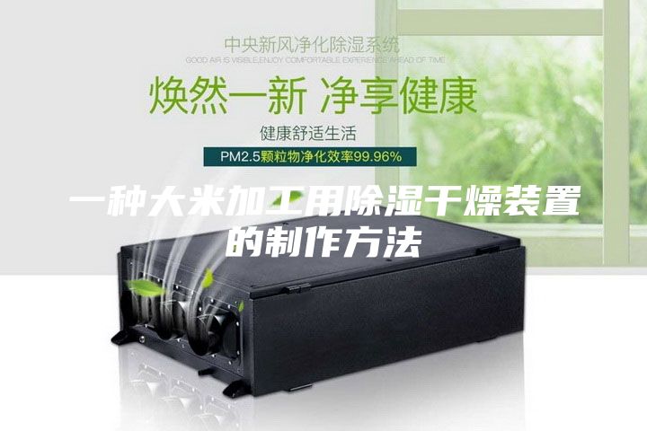 一种大米加工用除湿干燥装置的制作方法