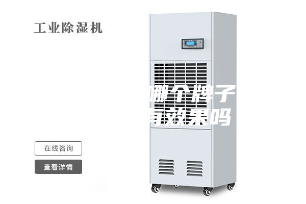 工业除湿机哪个牌子好？除湿机有效果吗