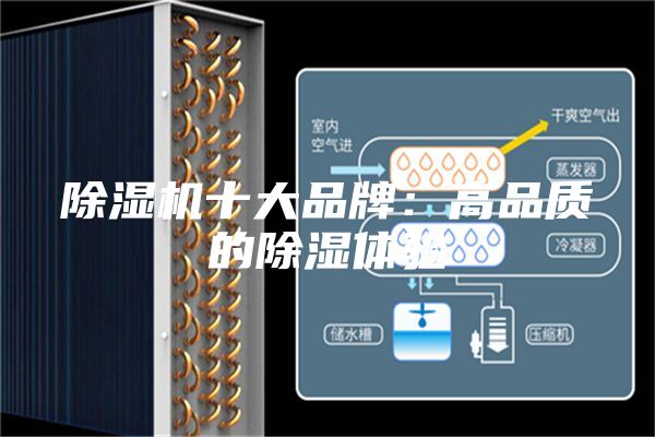 除湿机十大品牌：高品质的除湿体验