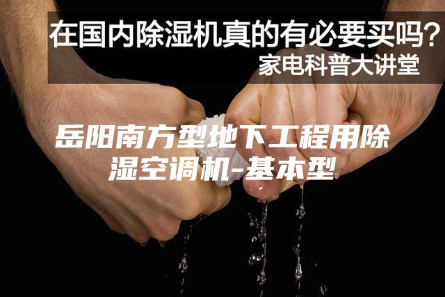 岳阳南方型地下工程用除湿空调机-基本型