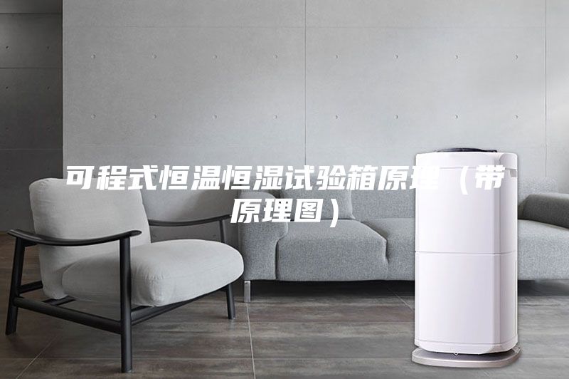 可程式恒温恒湿试验箱原理（带原理图）