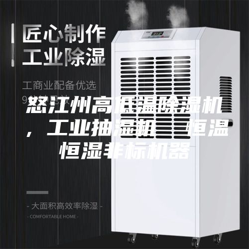 怒江州高低温除湿机，工业抽湿机  恒温恒湿非标机器
