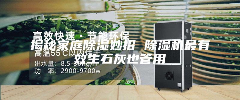 揭秘家庭除湿妙招 除湿机最有效生石灰也管用