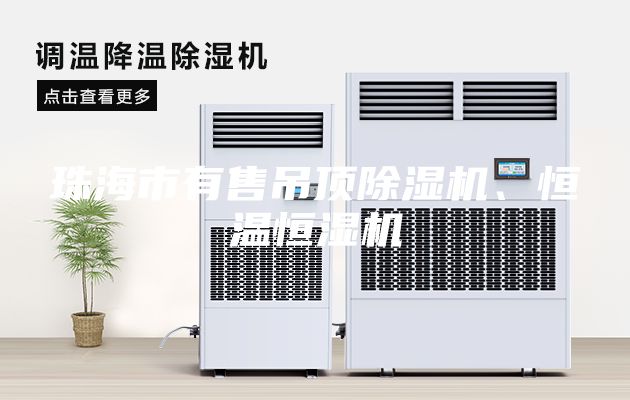珠海市有售吊顶除湿机、恒温恒湿机