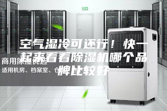 空气湿冷可还行！快一起来看看除湿机哪个品牌比较好