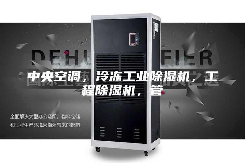 中央空调，冷冻工业除湿机，工程除湿机，管