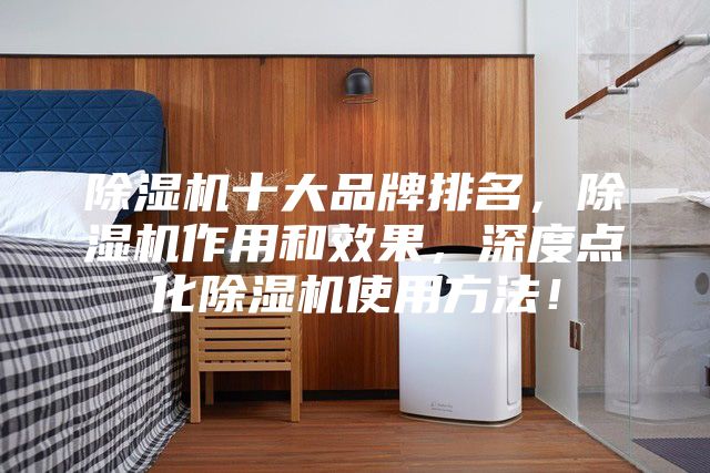 除湿机十大品牌排名，除湿机作用和效果，深度点化除湿机使用方法！