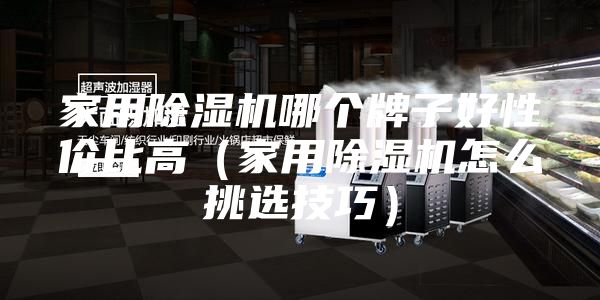 家用除湿机哪个牌子好性价比高（家用除湿机怎么挑选技巧）