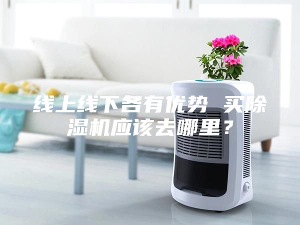 线上线下各有优势 买除湿机应该去哪里？