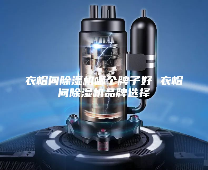 衣帽间除湿机哪个牌子好 衣帽间除湿机品牌选择