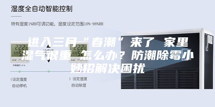 进入三月“春潮”来了 家里湿气很重 怎么办？防潮除霉小妙招解决困扰