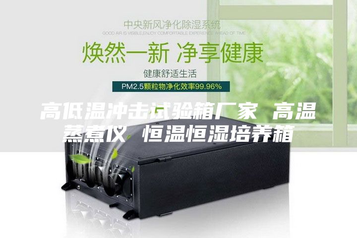 高低温冲击试验箱厂家 高温蒸煮仪 恒温恒湿培养箱