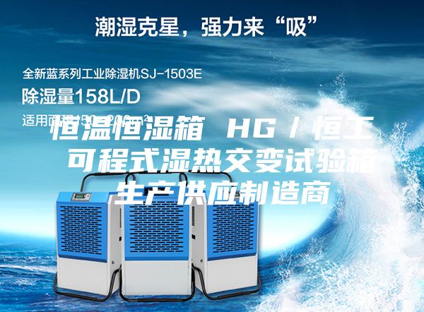 恒温恒湿箱 HG／恒工 可程式湿热交变试验箱 生产供应制造商