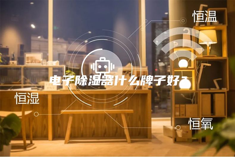 电子除湿器什么牌子好？