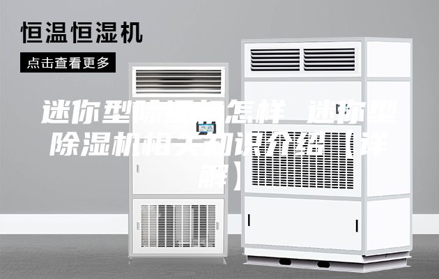 迷你型除湿机怎样 迷你型除湿机相关知识介绍【详解】