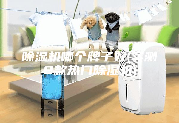 除湿机哪个牌子好(实测8款热门除湿机)