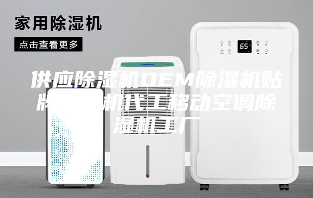 供应除湿机OEM除湿机贴牌除湿机代工移动空调除湿机工厂