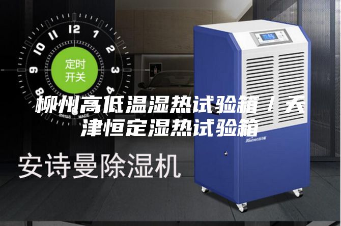 柳州高低温湿热试验箱／天津恒定湿热试验箱