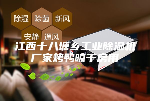 江西十八塘乡工业除湿机厂家烤鸭晾干房用